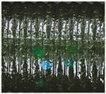 Yamamoto Baits 5" Senko 328 - Fading Watermelon With Blue YAM-9-10-328
