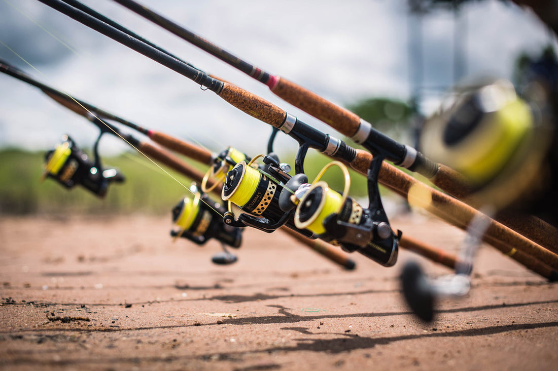 Choosing the Perfect Fishing Rod for Your Poconos Adventure