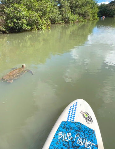 Blue Planet TUF-TECH Polynesian Warrior 10'2 SUP (2022)