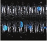 Yamamoto Baits 4" Senko 021 - Black - Blue Flakes YAM-9S-10-021