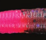 Yamamoto Baits 5" Senko 541 - 221 Body/Methiolate Tail YAM-9-10-541