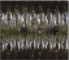 Yamamoto Baits 4" Senko 297 - Green Pumpkin, Pepper YAM-9S-10-297
