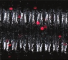 Yamamoto Baits 5" Senko 051 - Black - Small Red Flakes YAM-9-10-051