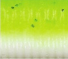Yamamoto Baits 5" Senko 909 - Chartreuse Shad YAM-9-10-909
