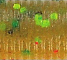 Yamamoto Baits 4" Senko 968 - Perch YAM-9S-10-968