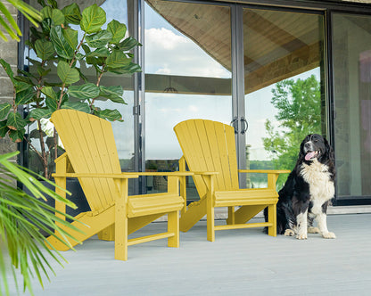 C.R. Plastic Classic Adirondack [C01]